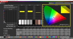 CalMAN ColorChecker（配置文件：P3，目标色彩空间：P3）