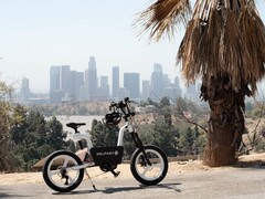 美国版的Delfast California电动自行车有一个Bafang电机，扭矩高达160牛米。(图片来源: Delfast)