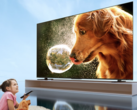 东芝 Z700NF Mini LED 4K 电视已在中国上市。(图片来源：东芝）