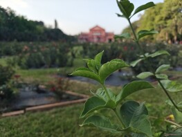 使用广角镜头拍摄人像