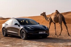 除了受欢迎的特斯拉Model Y，Model 3也在极热的条件下进行了测试（图片: 特斯拉）。