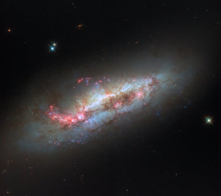 NGC 1151 的哈勃图像(图片来源:ESA/哈勃、NASA 和 D. Thilker)