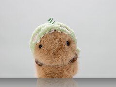 罗拉（图片来源：ZKM Karlsruhe）