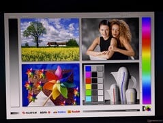 宽广的 OLED 视角