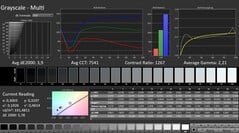 卡尔曼：灰色鳞片