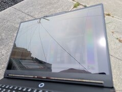 在明亮的阴天下的户外