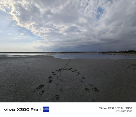 vivo X300 Pro：照片样本
