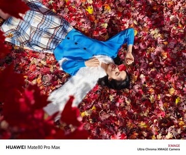 (图片来源：华为）