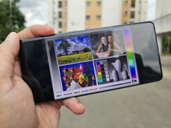 阳光下的户外观赏