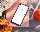 现在，剩余的 Pixel 4a 坚守者已经强制安装了这一影响电池寿命的更新。图：手机。(图片来源：谷歌）