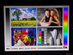 宽广的 OLED 视角