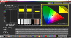 CalMAN ColorChecker（配置文件：原生，目标色彩空间：P3）