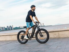 DYU King 750胖轮胎电动自行车的最高时速为45公里（约28英里/小时）。(图片来源：DYU)
