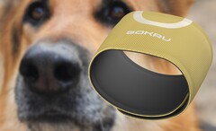 以狗的鼻子为灵感的Sokru可穿戴式传感器可检测挥发性有机化合物。(图片来源：Lakka/Unsplash - 编辑)