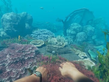 玩家还可以在 Stranded Deep 中探索水下世界。