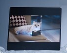 据悉，vivo X Fold5 可与Apple Watch 以及 iPhone、MacBook 和 iCloud 配合使用。(图片来源：vivo）