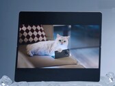 据悉，vivo X Fold5 可与Apple Watch 以及 iPhone、MacBook 和 iCloud 配合使用。(图片来源：vivo）