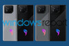 (图片来源：Windows Report）