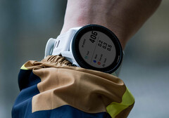 Forerunner 955 将继续获得与更新机型一致的稳定软件更新。(图片来源：Garmin）