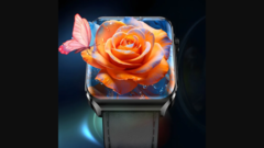 莱姆 3 号(来源:Lemfofit)