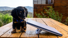 SpaceX 正在研发新一代 Starlink Mini 碟片（图片来源：Michael Nicolls/X）