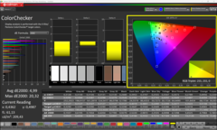 校准后的 Calman ColorChecker