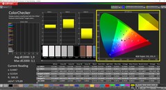 CalMAN ColorChecker（配置文件：原生，目标色彩空间：P3）