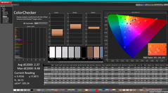 ColorChecker (DCI-P3设置)