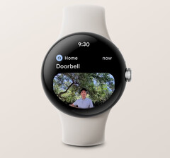Google Home应用现在可以在一些Wear OS 3智能手表上显示带有Nest视频门铃图像的通知。(图片来源：谷歌)