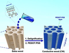 (图片来源：PNAS)