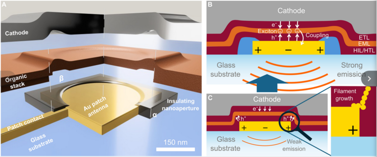 (图片来源：Science.org）