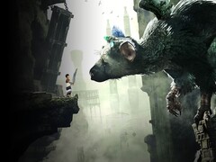 PS4 上游戏《最后的守护者》的图片。(图片来源：PlayStation）