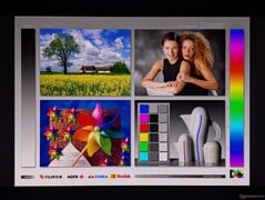 宽广的 OLED 可视角度