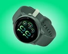 Jasper Green 配色的 Vivoactive 6。