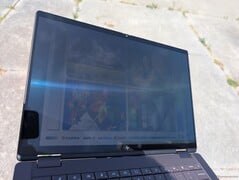 在户外，沐浴在阳光下
