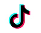 TikTok 被告知。(来源：TikTok）