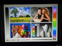 宽广的 IPS 视角