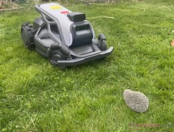 Airseekers Tron 在测试中可靠地检测到了我们的刺猬假人。