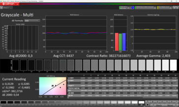 已校准的 Graustufen
