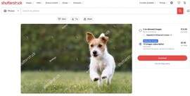 这张照片是常用的图片库图片（图片来源：Photo Rumors）