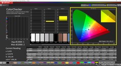 CalMAN ColorChecker（配置文件：P3，目标色彩空间：P3）