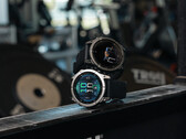 自今年夏天发布以来，Garmin 已为 Enduro 3、Fenix E 和 Fenix 8 发布了 100 多个错误修复。(图片来源：Garmin）