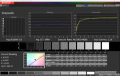 CalMAN 灰度（校准后）