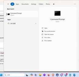 在 Windows 搜索中输入 