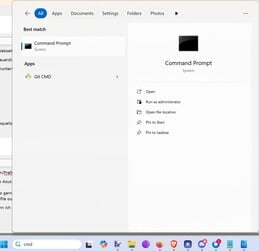 在 Windows 搜索中输入