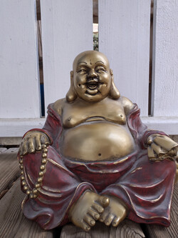 自拍相机拍摄的照片