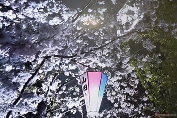 局部调光已禁用