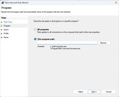 输入 UplayWebCore.exe 的文件路径