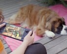 尽管 Steam Deck 的硬件较弱,但许多玩家仍然更喜欢它。