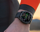 系统软件 13.37 并不是 Garmin 最近通过测试版预告的更新。(图片来源：Garmin）